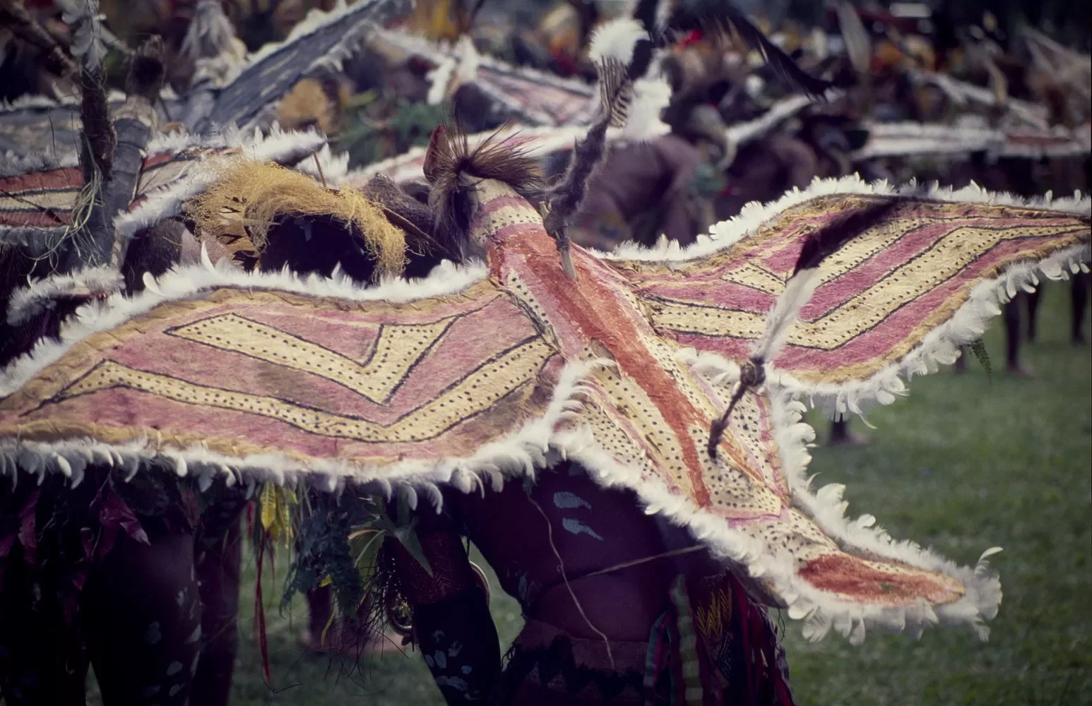 Goroka_Show_1984-1996_MS35mm_©LizThompson_561bandw-vignette.webp
