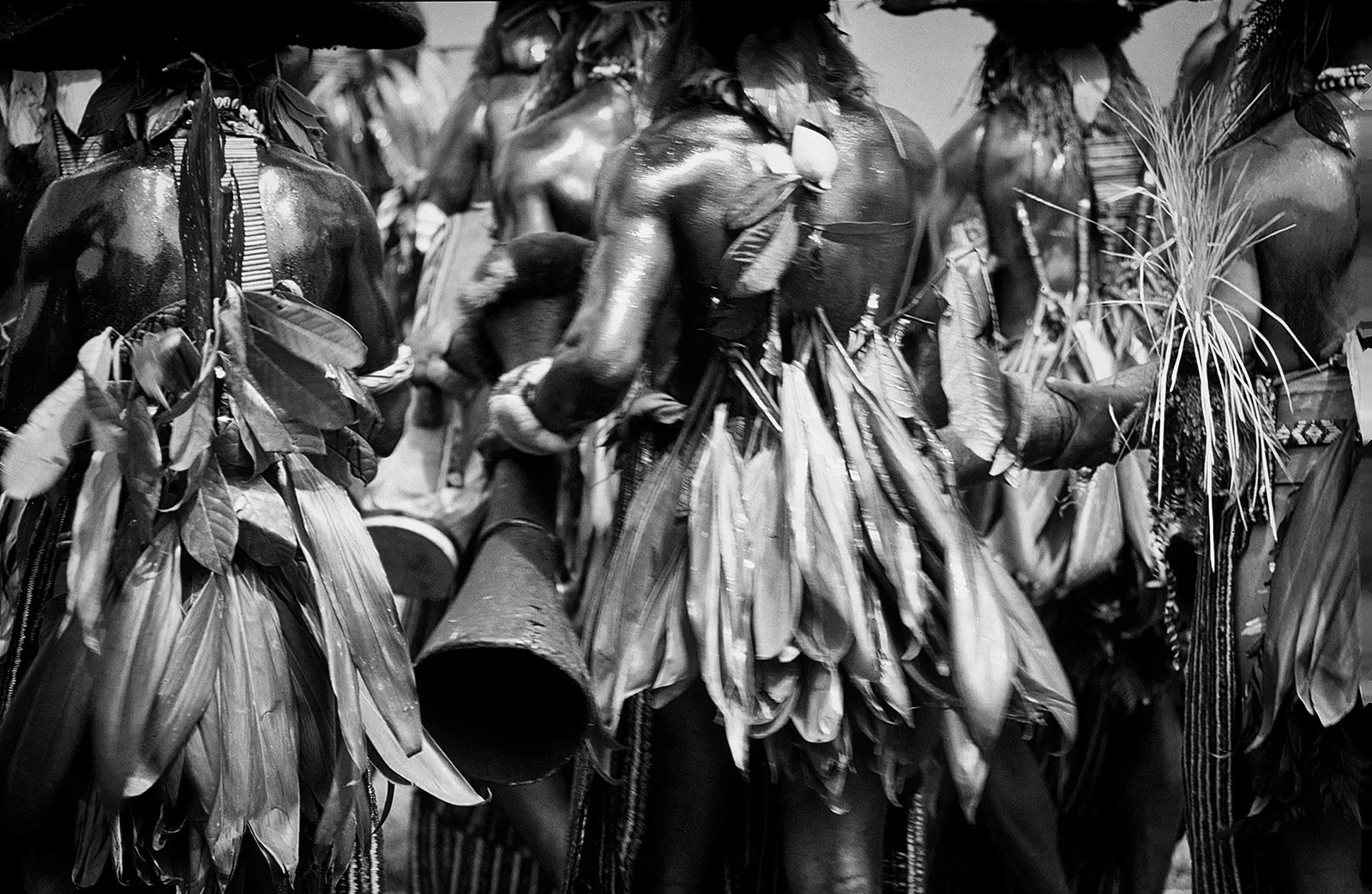 Goroka_Show_1984-1996_MS35mm_©LizThompson_598bw.webp