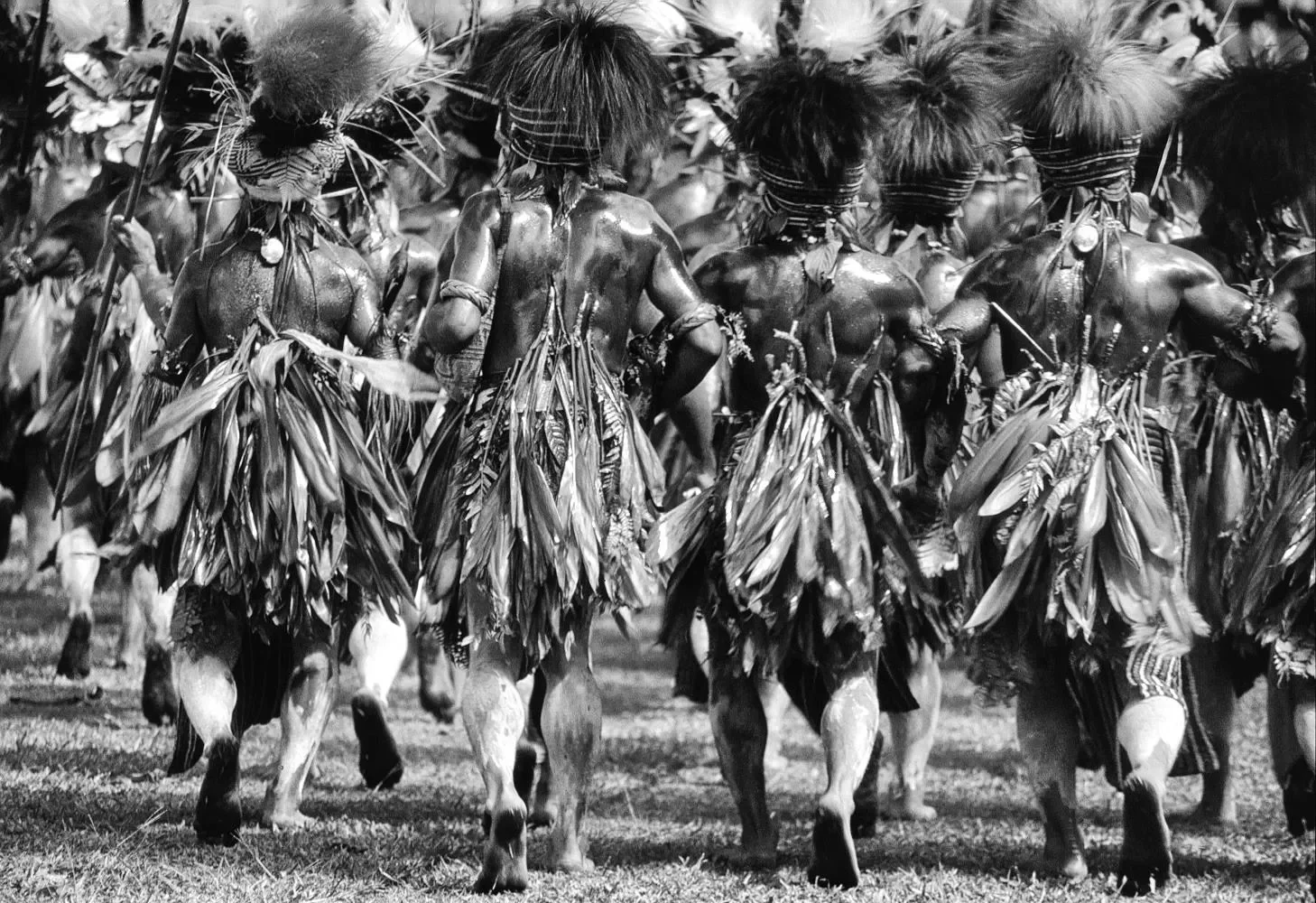 Goroka_Show_1984-1996_MS35mm_©LizThompson_604bw.webp