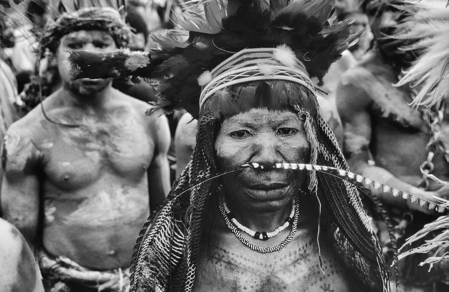 GorokaShow_1984-1996_MS35mm_©Liz-Thompson_466bw.webp