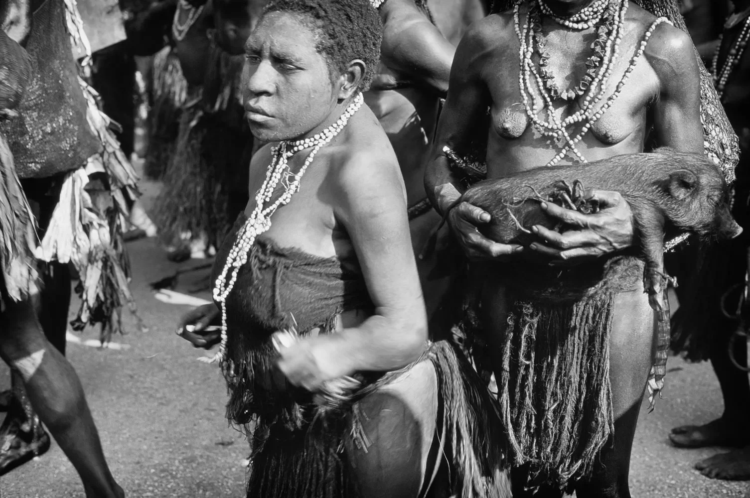 GorokaShow_1984-1996_MS35mm_©Liz-Thompson_473bw.webp
