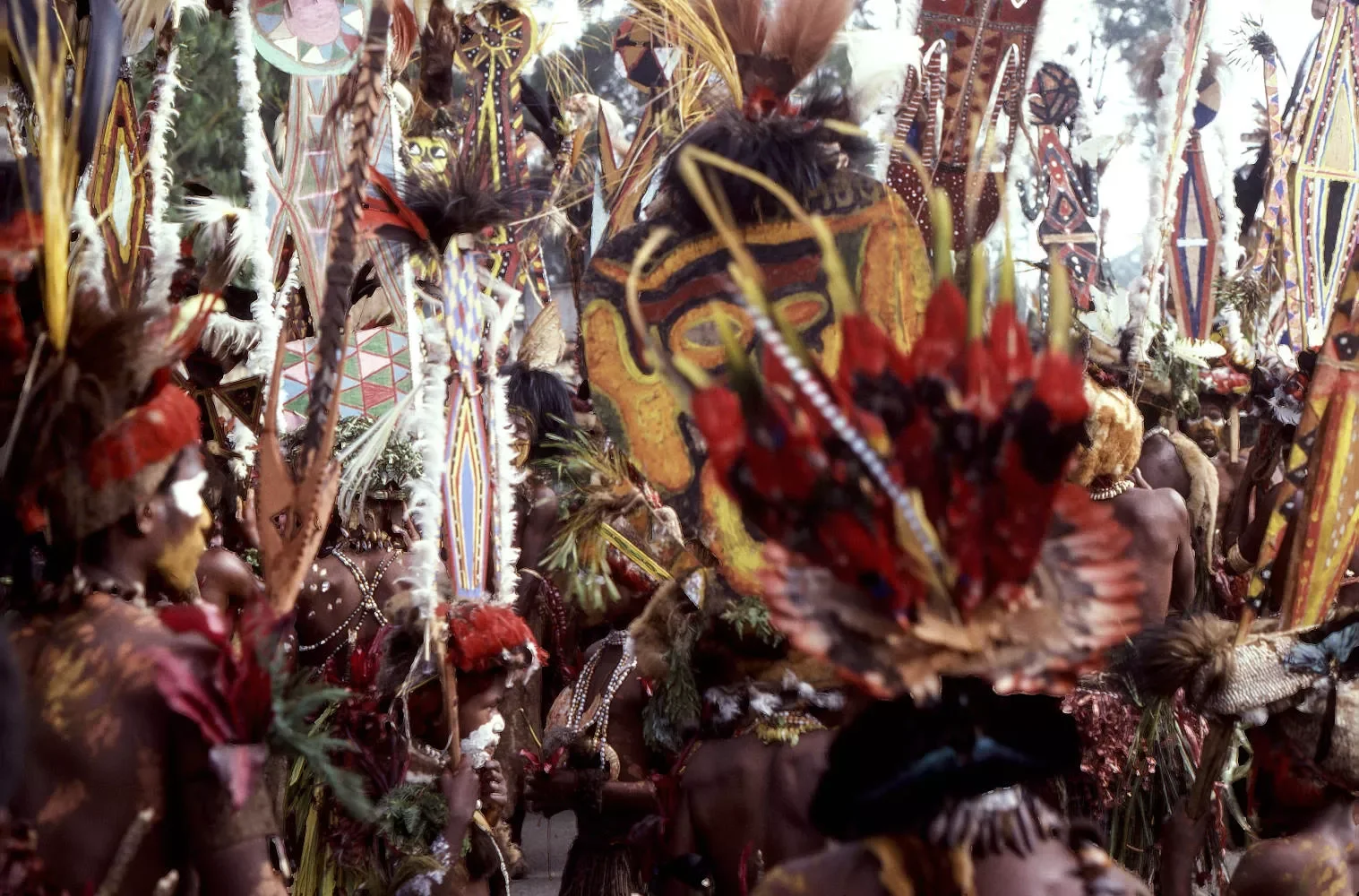 Goroka-Show-1984-1996_©Liz-Thompson_206a.webp
