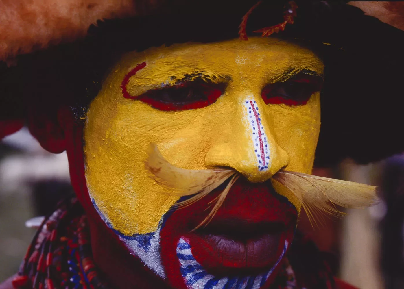 Goroka-Show-1984-1996_unmounted_©Liz-Thompson_01a.webp