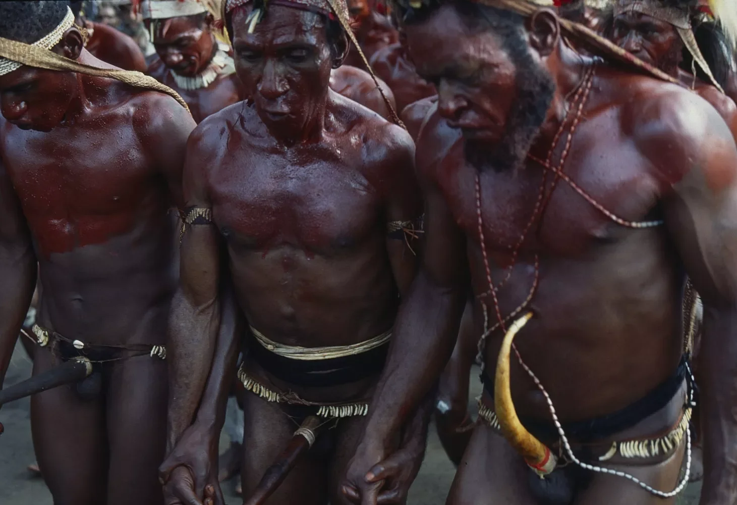 Goroka-Show-1984-1996_unmounted_©Liz-Thompson_34a.webp