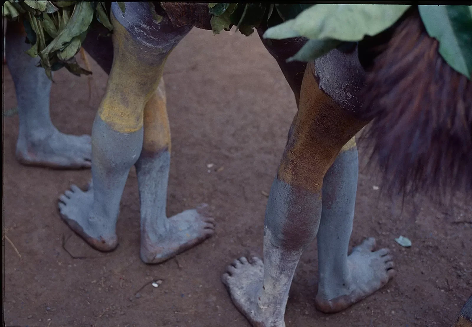 Goroka-Show-1984-1996_unmounted_©Liz-Thompson_50.webp