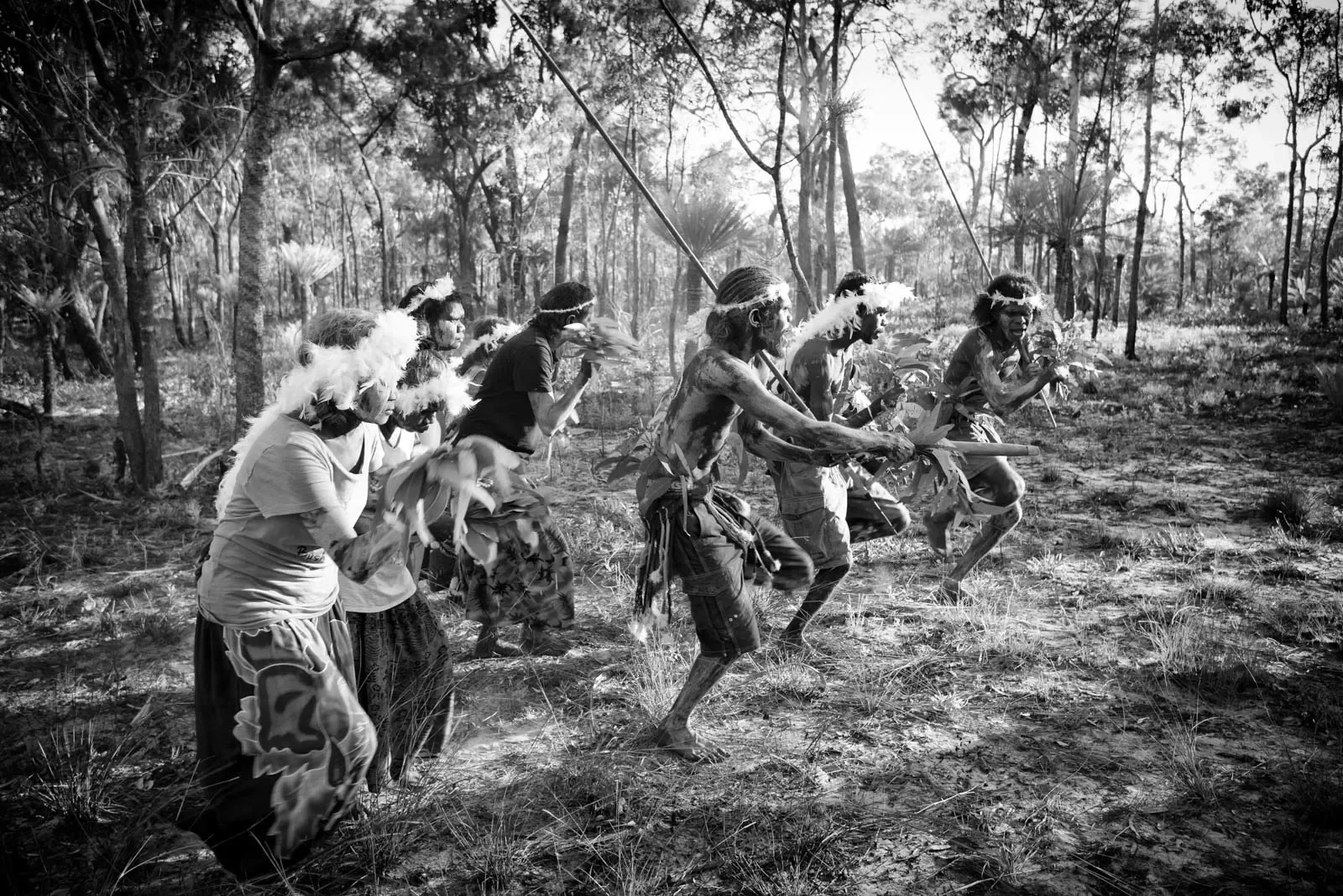 Enacing-the-songs-and-dances-of-Gaṉdjaḻaḻa-the-Sugar-Bag-Hunter-at-Dhupuwamirri.-Wagilak.webp