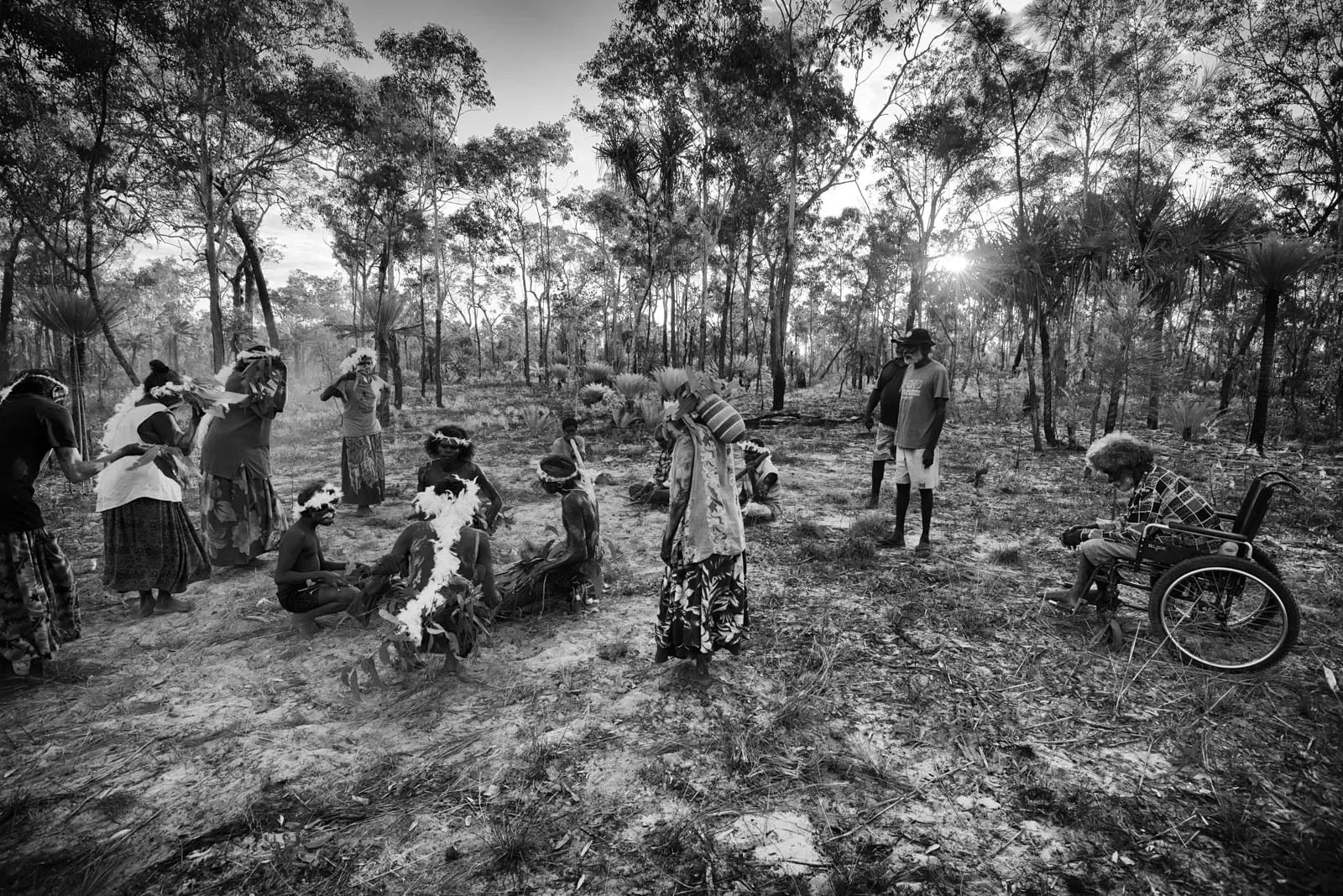 Mr-Roy-Ashley-Waṉapuynu-teaching-the-songs-and-dances-of-Gaṉdjaḻaḻa-the-Sugar-Bag-Hunter.webp