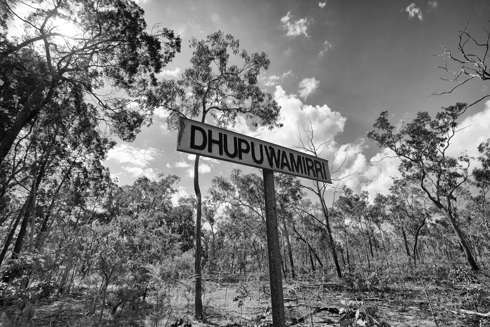 Wagilak_4_-20000101_0134_BW.webp