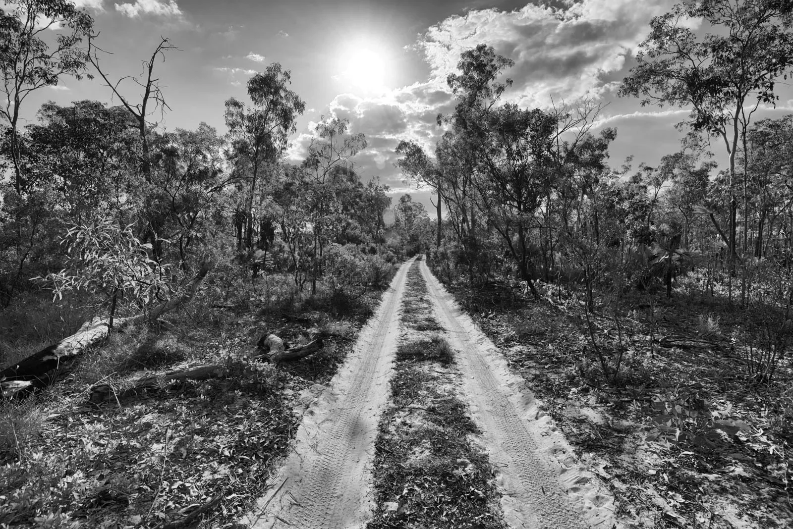 Wagilak_6_DSC_6306_BW.webp