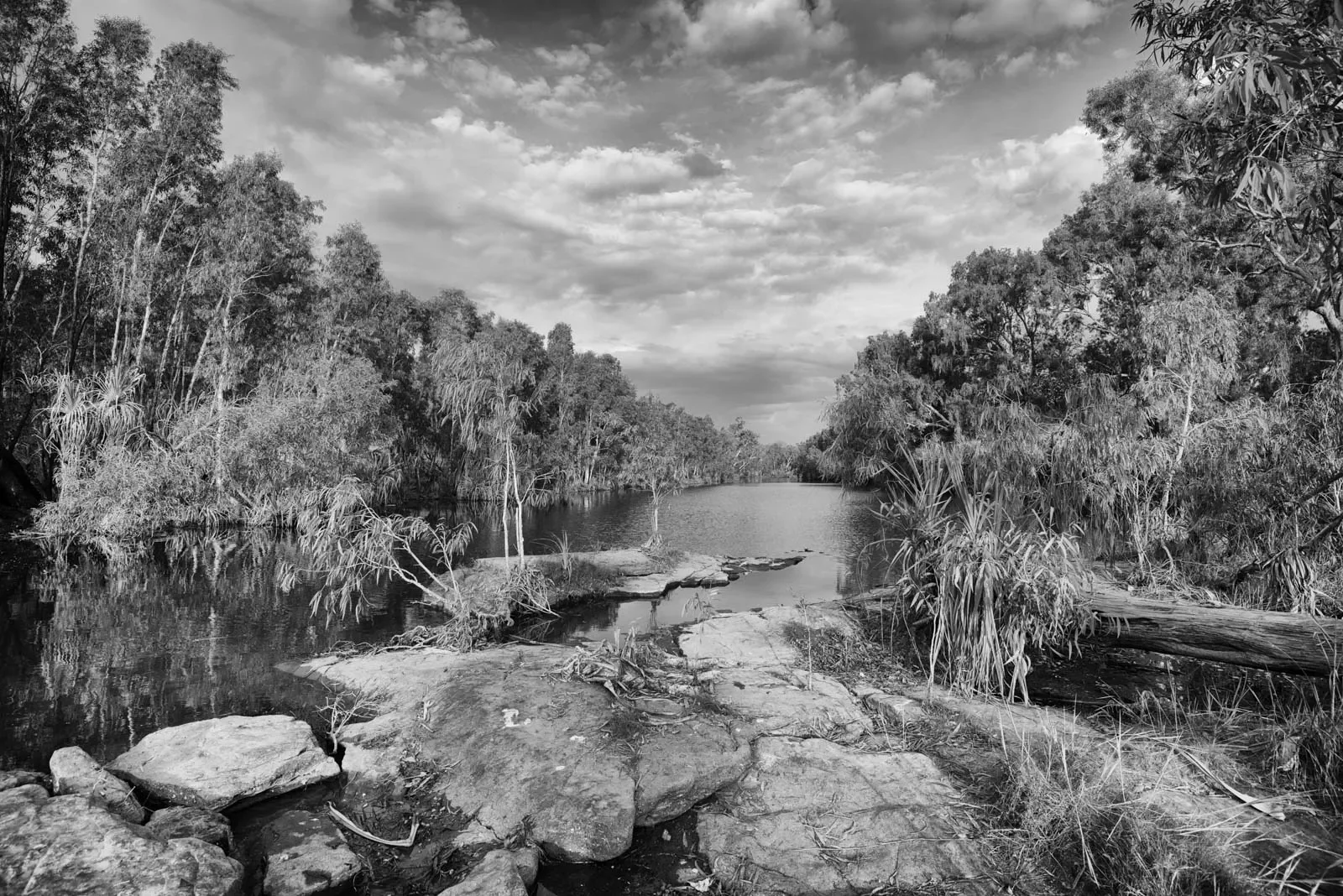 Wagilak_7c_DSC_6083_BW.webp