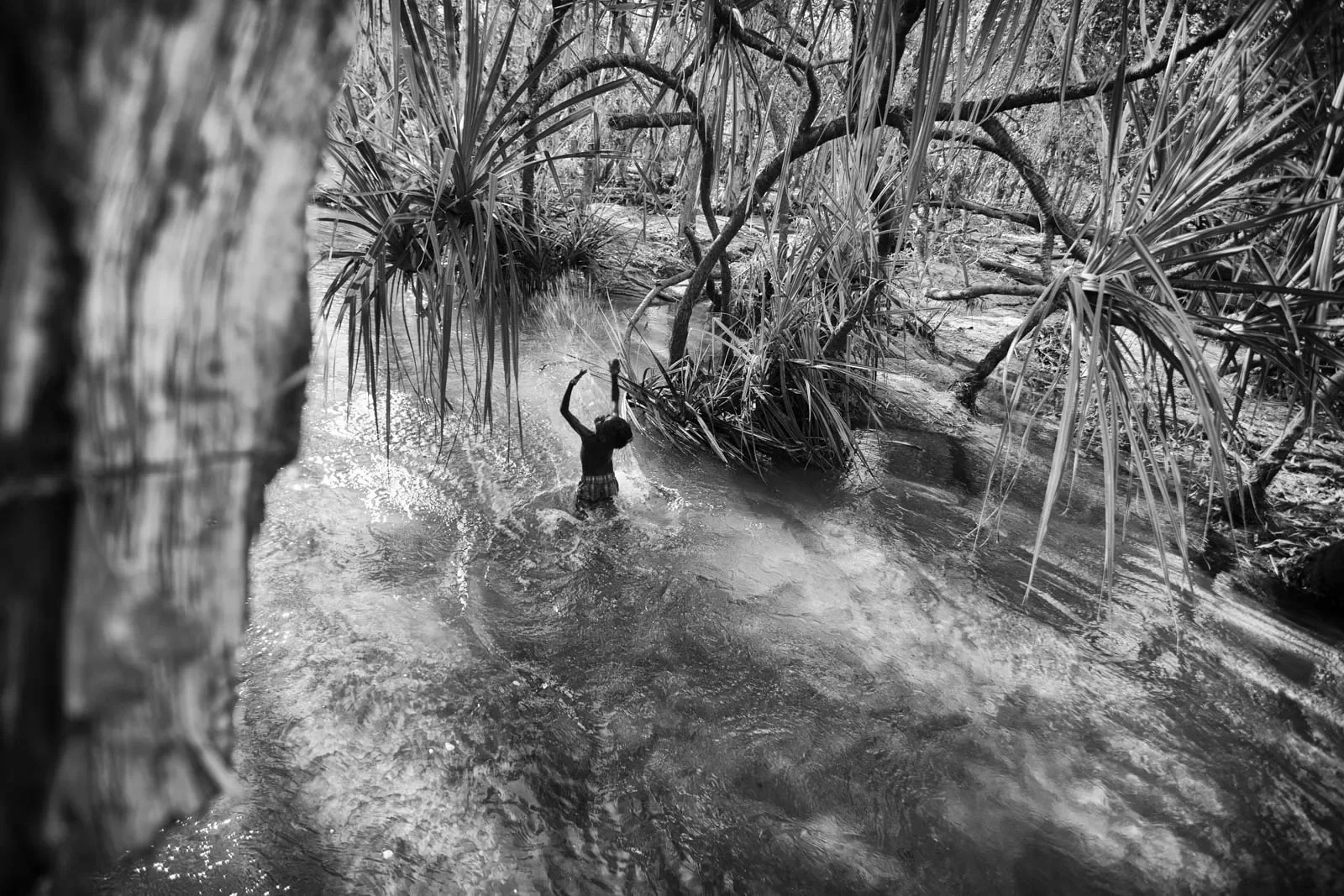 Wagilak_34a_20000101_0192_BW.webp