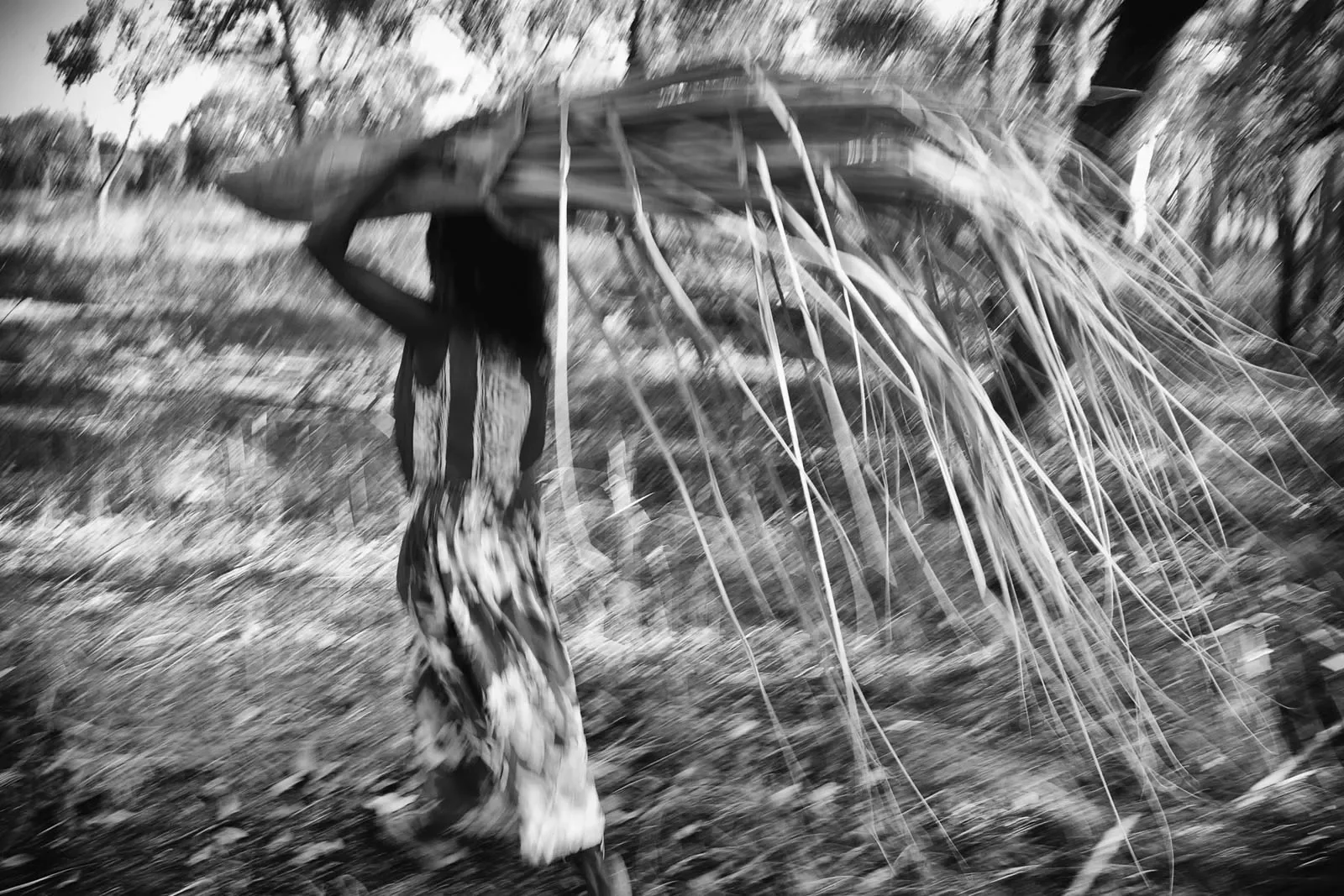 Wagilak_34b_L1260316_BW.webp
