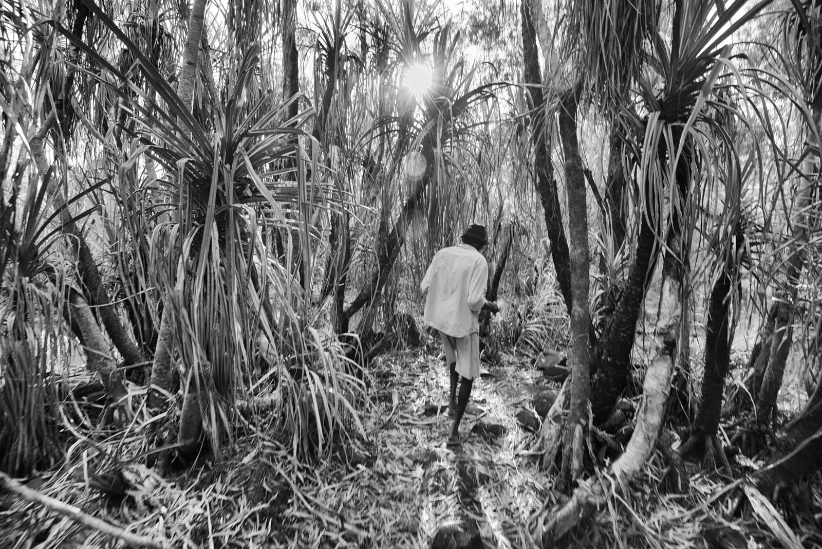 Wagilak_41b_DSC_6312_BW.webp