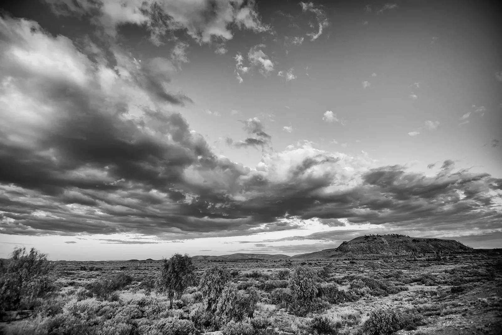 Adnya_2_DSC_4488_BW.webp