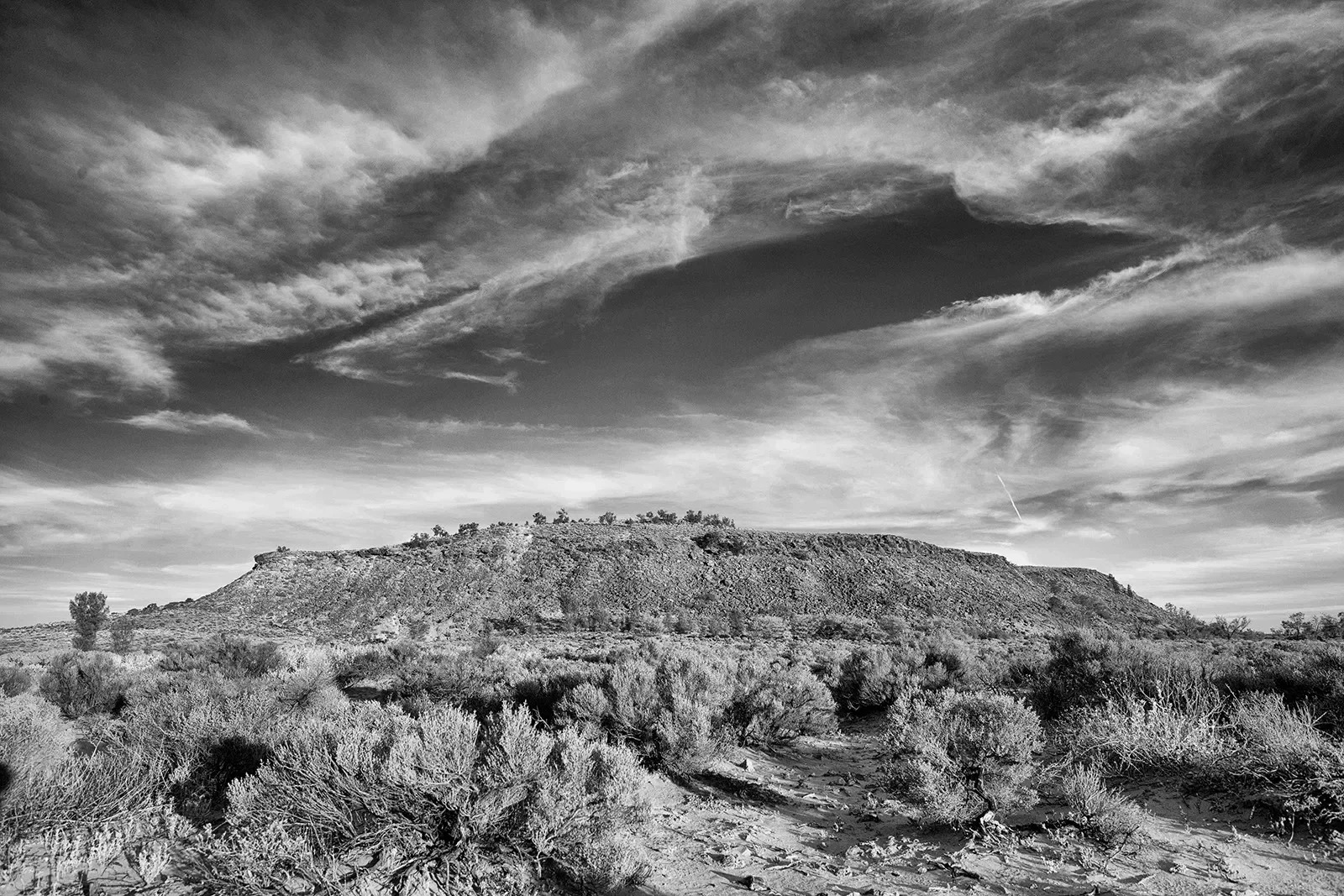 Adnya_3_-00138_BW.webp