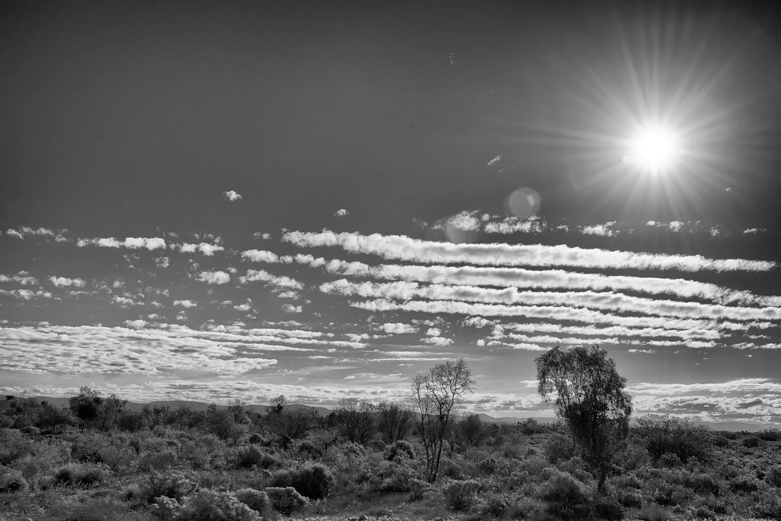 Adnya_6_DSC_3630_BW.webp