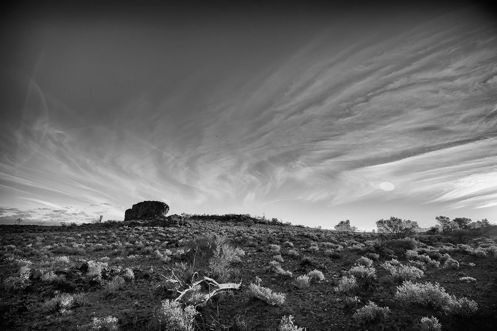 Adnya_7a_DSC_3753_BW.webp