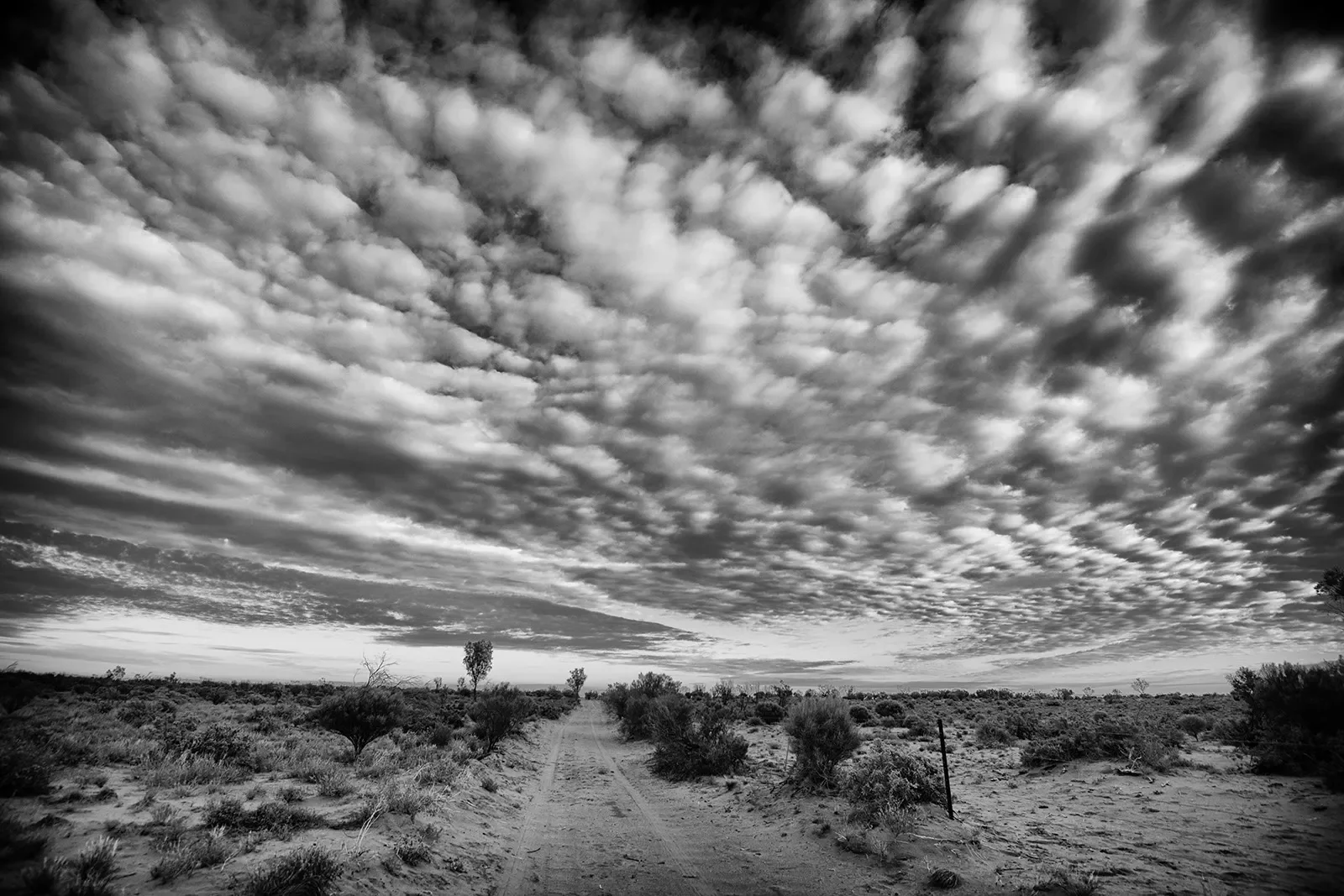 Adnya_12_DSC_4208_BW.webp