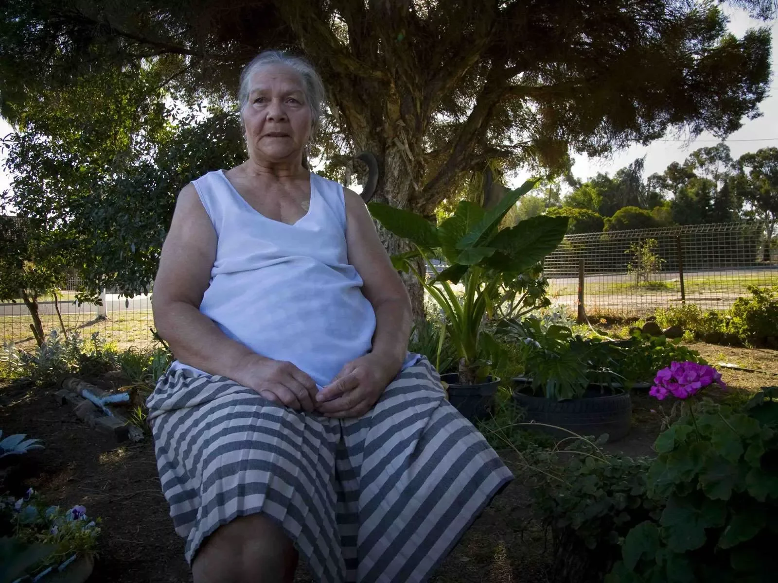 aunty-trish-Bendigo.webp