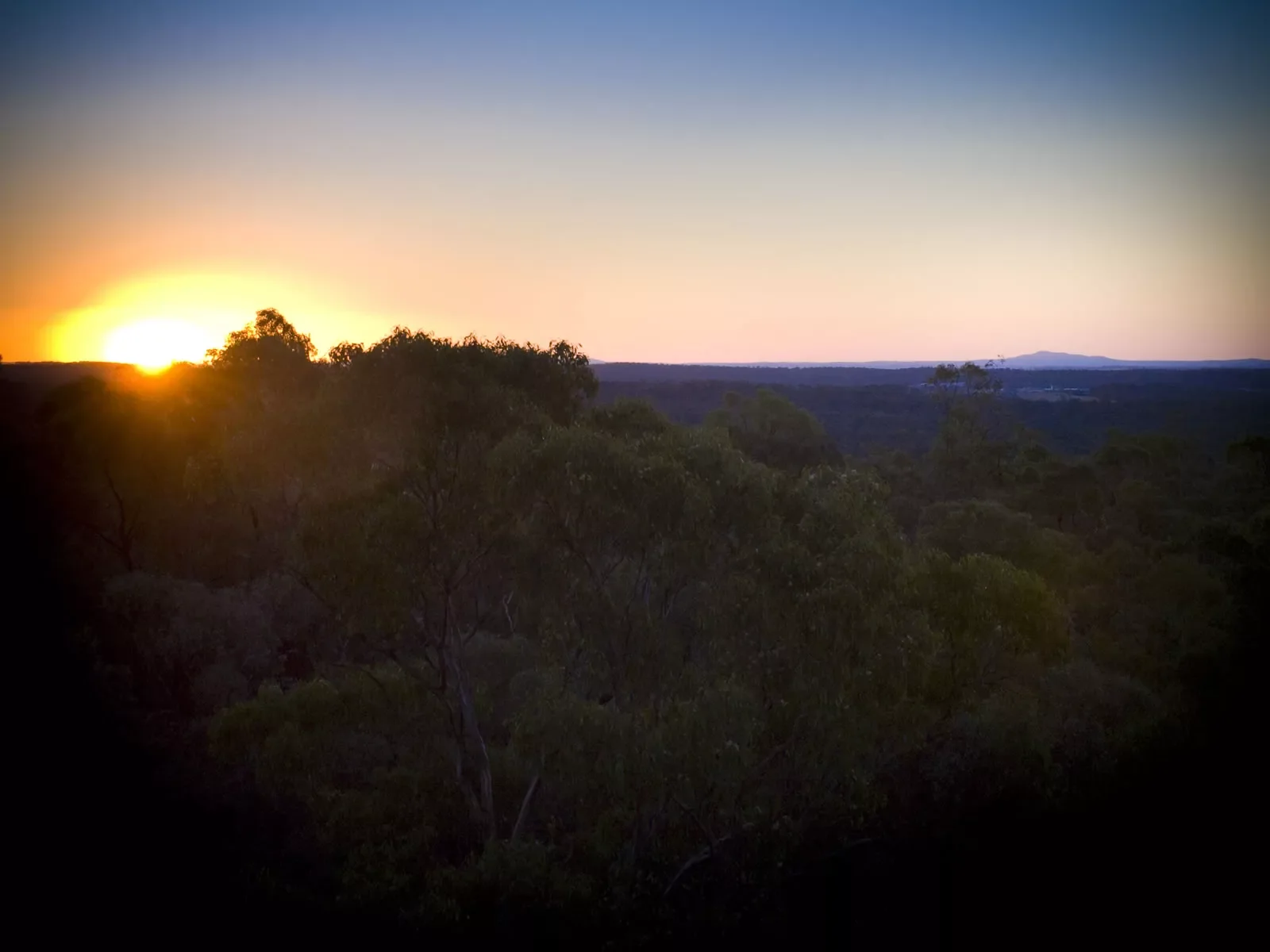 bendigo-page-2.webp