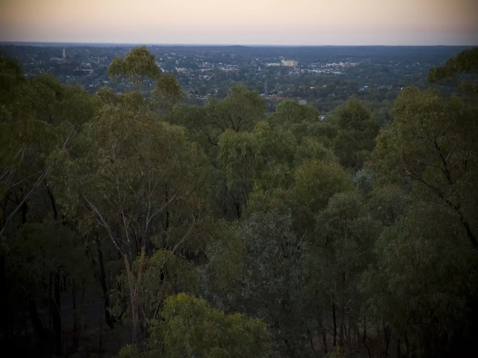 bendigo-page-2_2.webp