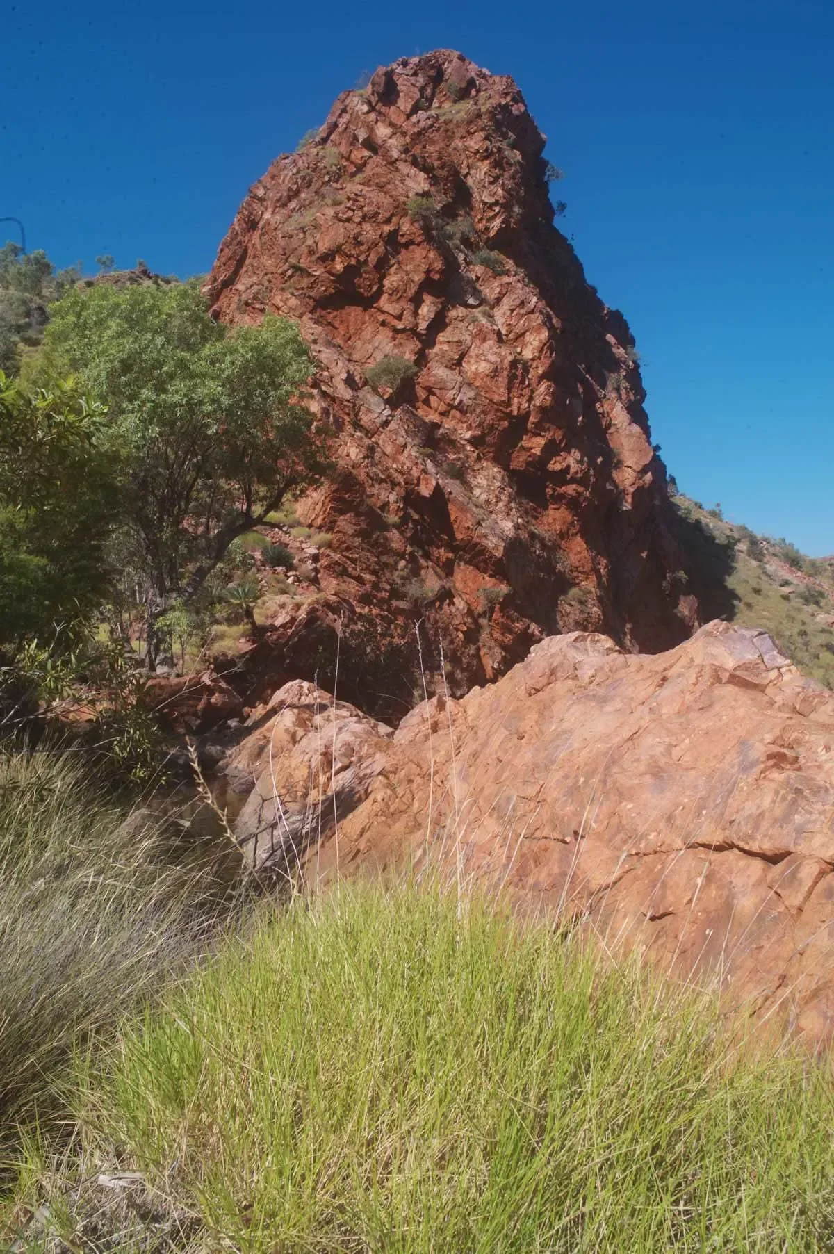 Frog-and-Brolga-country-in-Purnululu-National-Park-Kimberley-WA-.webp