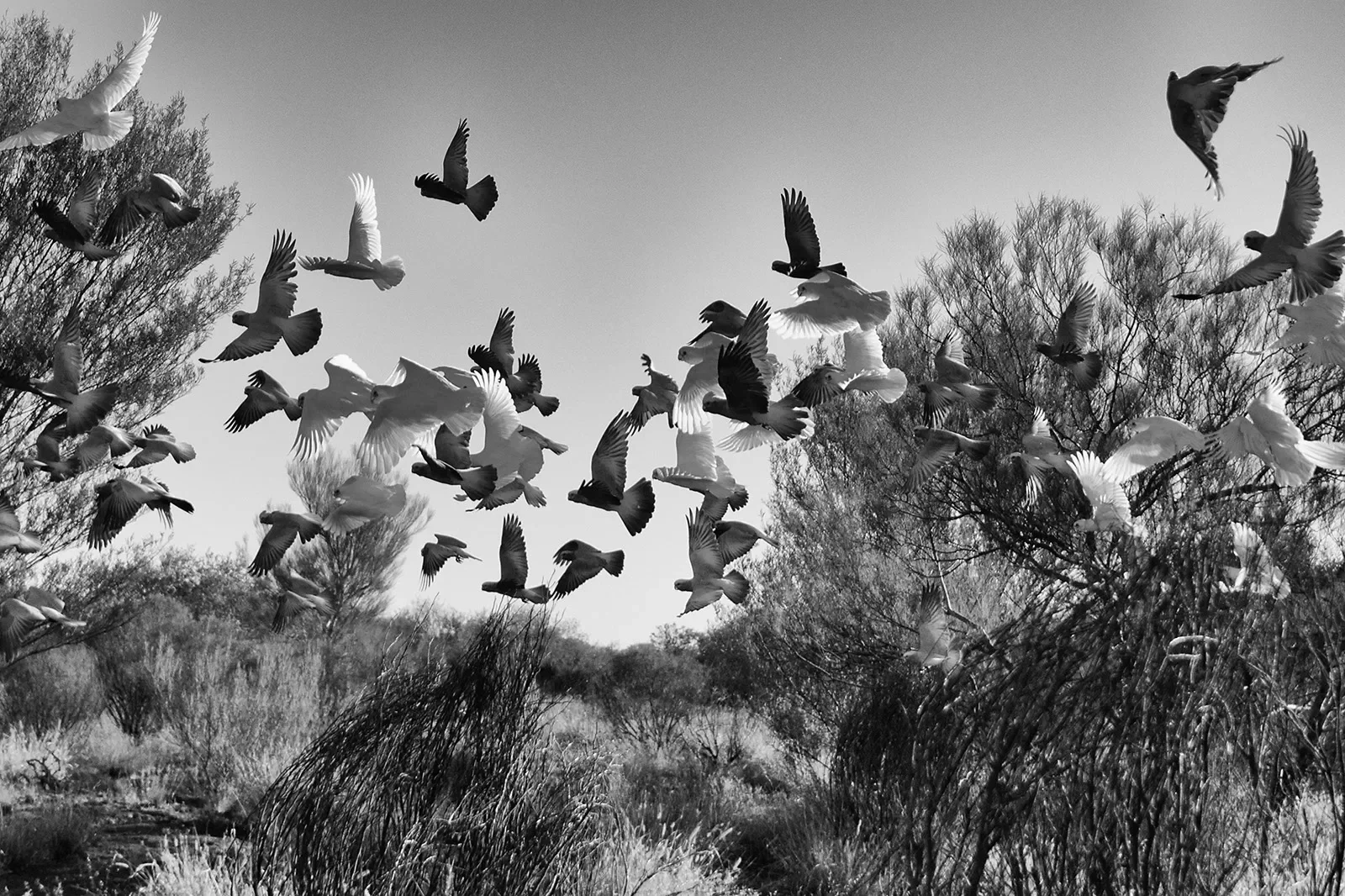 Lockhart_5_DSC_0764_BW.webp