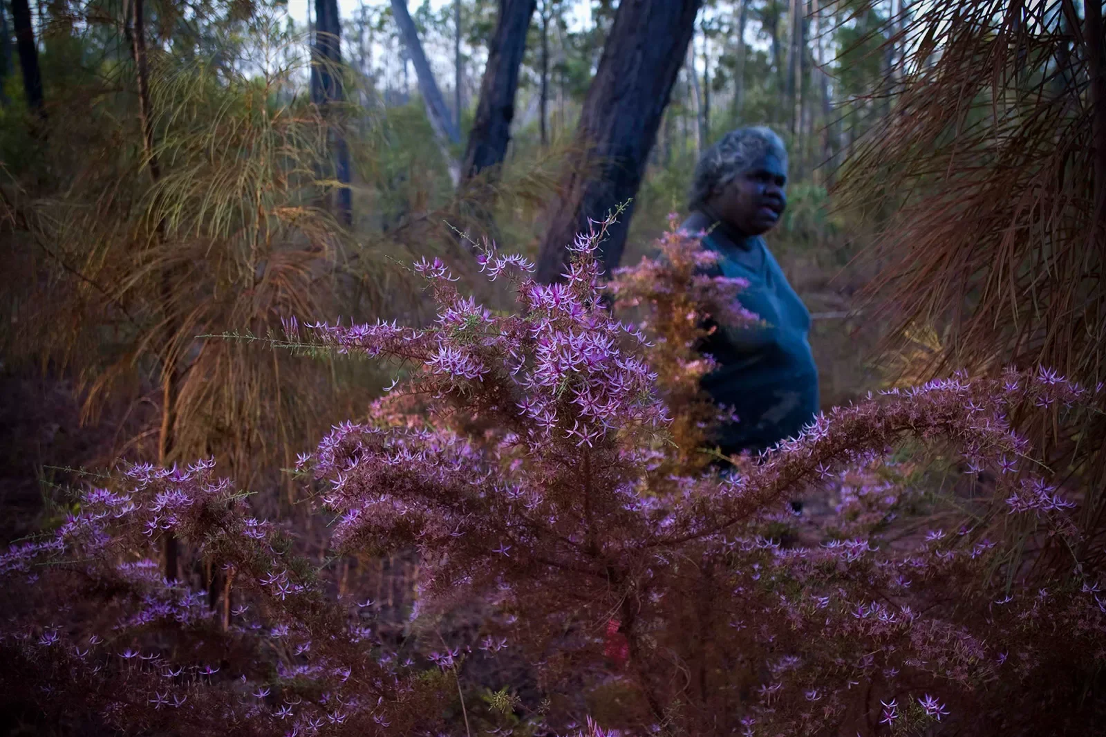 Maningrida_25_a0808092662_rgb.webp
