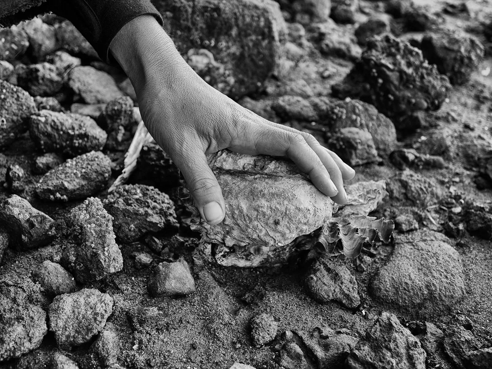 Tasmania_9_L1240807_BW.webp