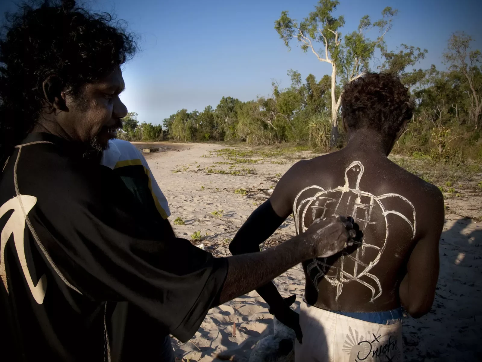 turtle-dreaming.webp