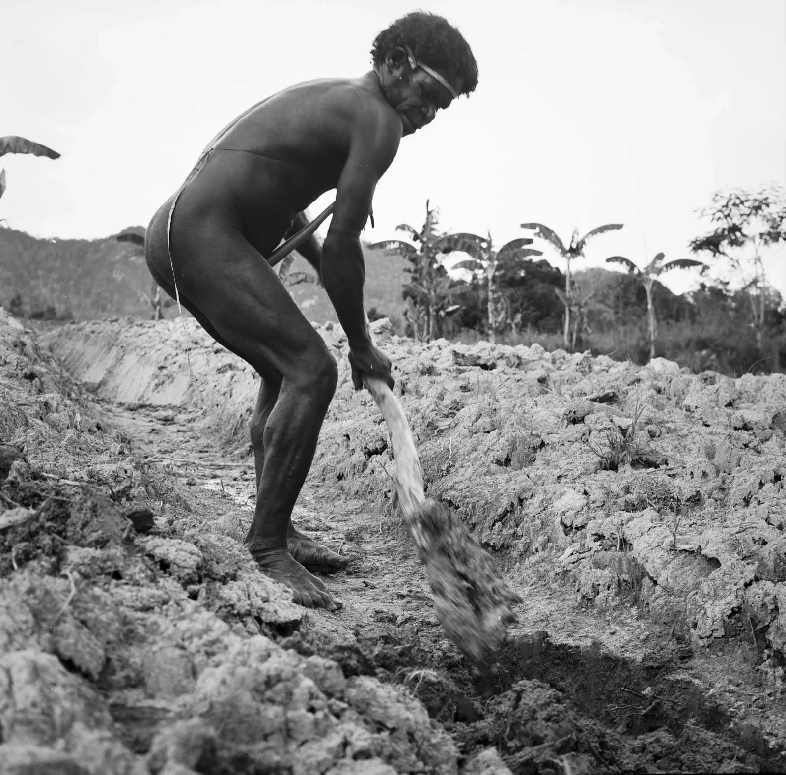 West_Papua_1989_LFBW_©LizThompson_1.webp