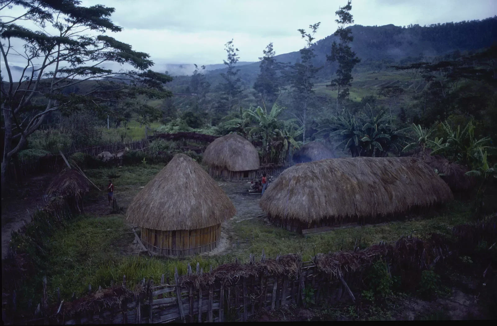West_Papua_Baliem_Valley_1989_BW35mm_-169_1.webp