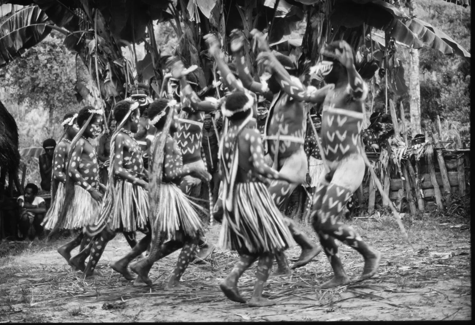 West_Papua_Baliem_MS35mm_1989_©LizThompson_11.webp
