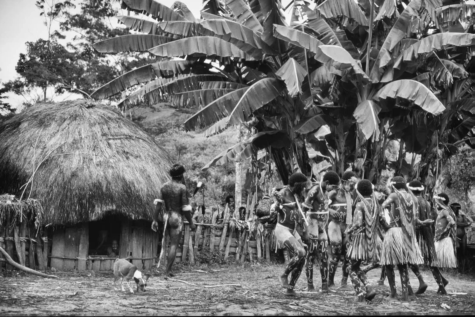 West_Papua_Baliem_MS35mm_1989_©LizThompson_19.webp