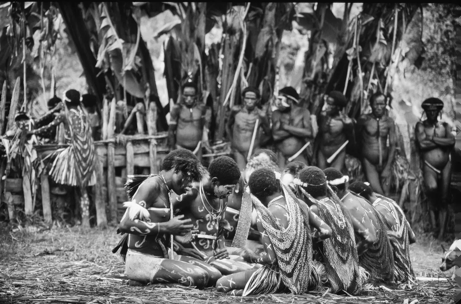 West_Papua_Baliem_MS35mm_1989_©LizThompson_37.webp