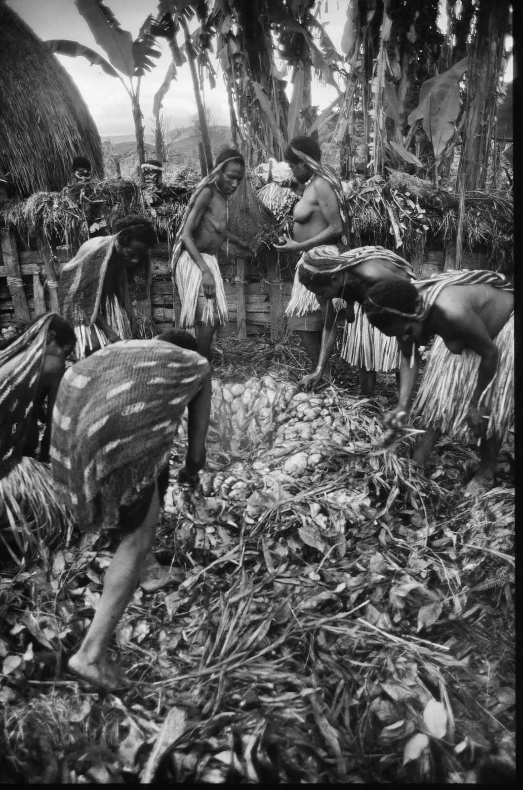 West_Papua_Baliem_MS35mm_1989_©LizThompson_51.webp
