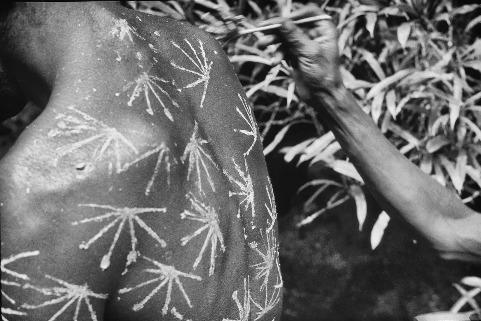 West_Papua_Baliem_MS35mm_1989_©LizThompson_82.webp