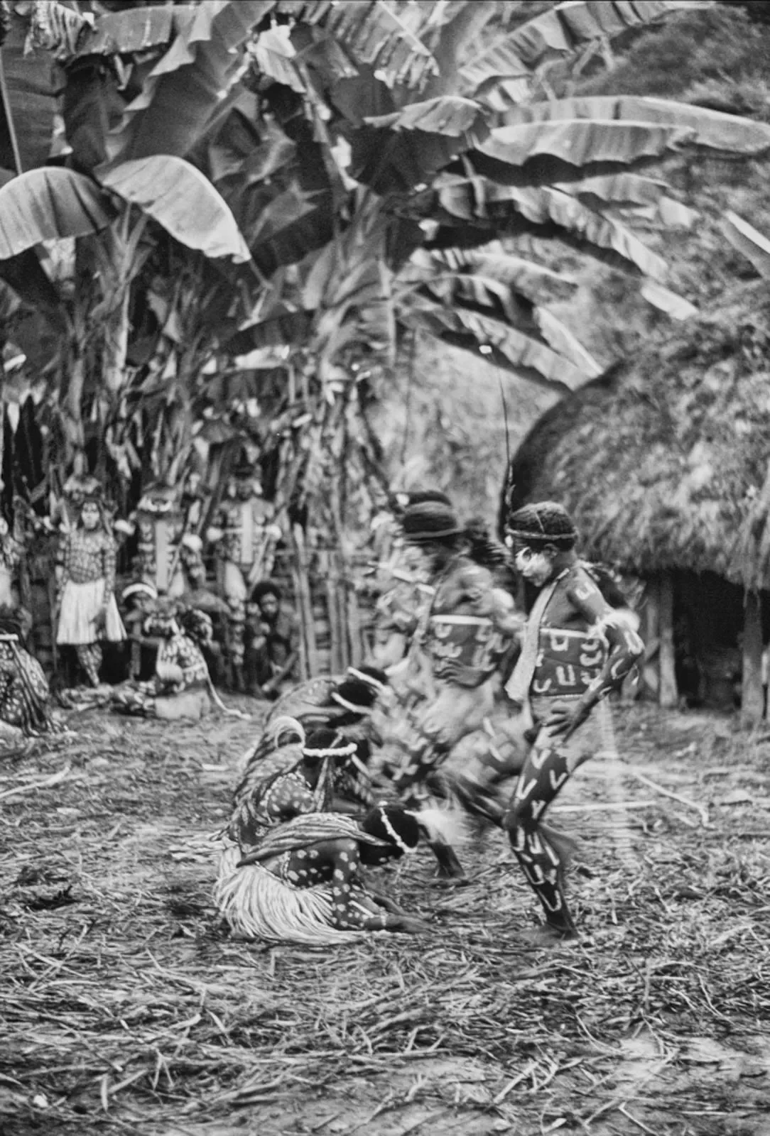 West_Papua_Baliem_MS35mm_1989_©LizThompson_97BW.webp