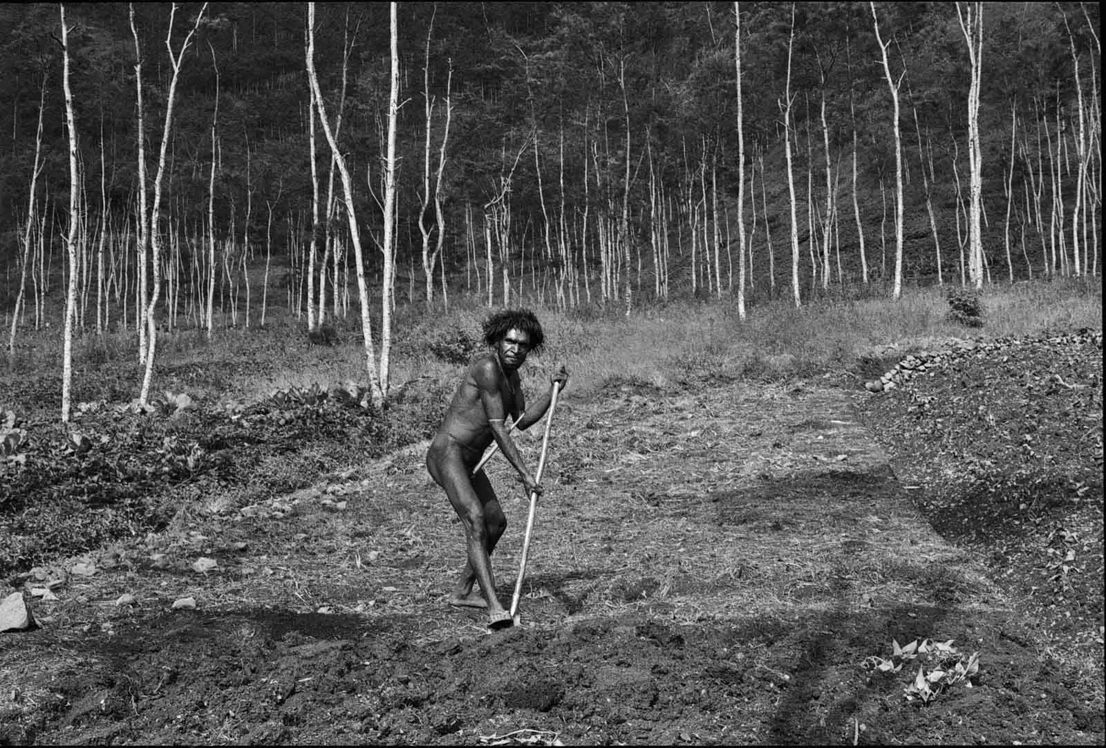 West_Papua_BW35mm__©Liz-Thompson_28.webp