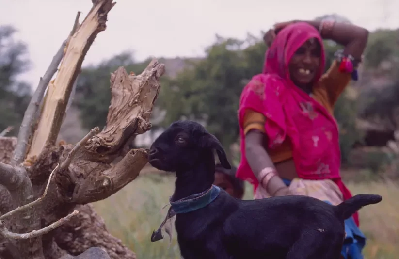 Bhil_Raya_Village_Rajasthan_India_57.webp