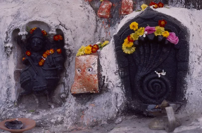 Bhil_Raya_Village_Rajasthan_India_73.webp