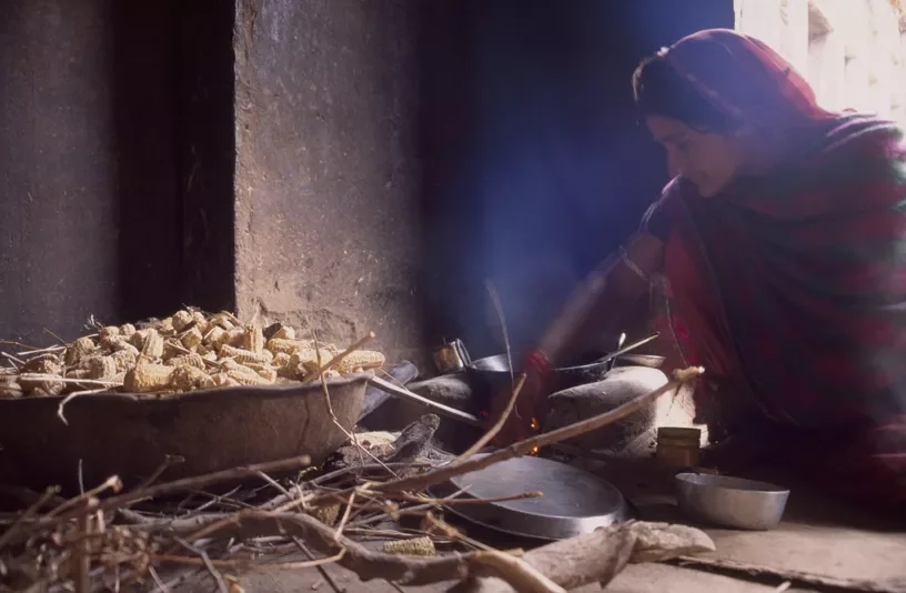 Bhil_Raya_Village_Rajasthan_India_74.webp