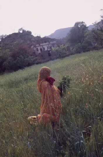 Bhil_Raya_Village_Rajasthan_India_83.webp