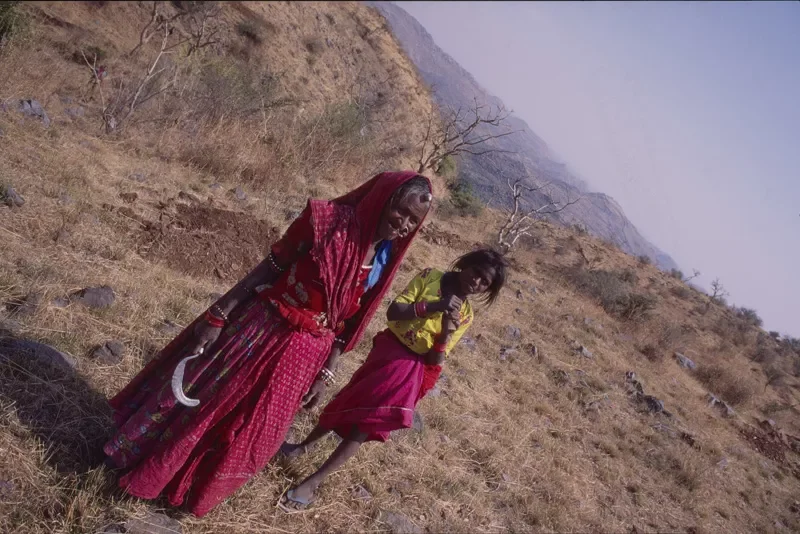 Bhil_Raya_Village_Rajasthan_India_124.webp