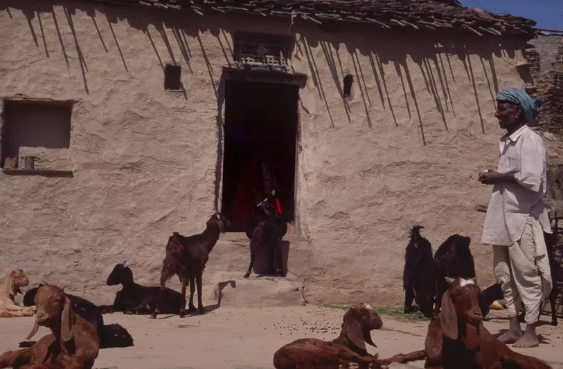 Bhil_Raya_Village_Rajasthan_India_130.webp