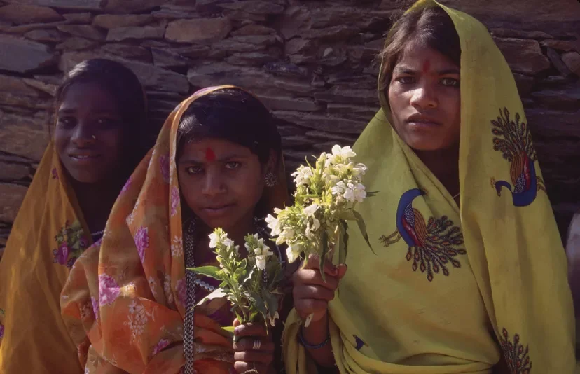 Bhil_Raya_Village_Rajasthan_India_149.webp