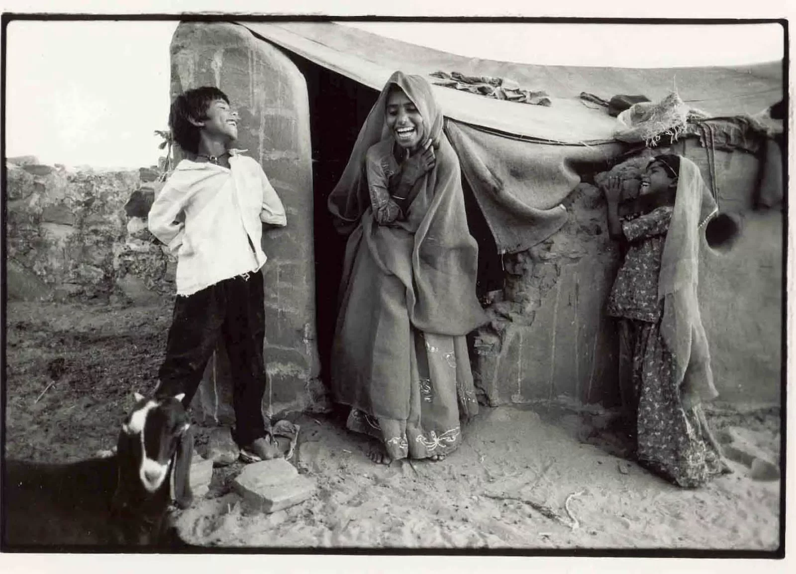 snake-charmers-camp.webp