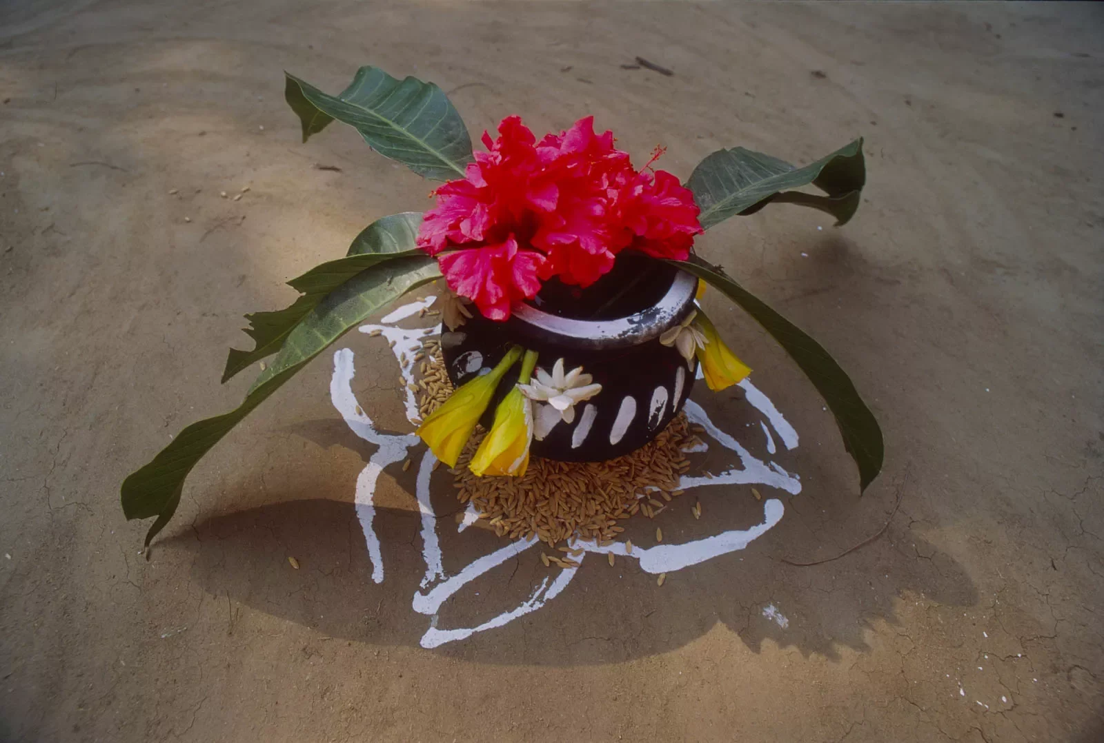 Puri_Laxshmi_Puja_Orissa_India_63_cropped.webp