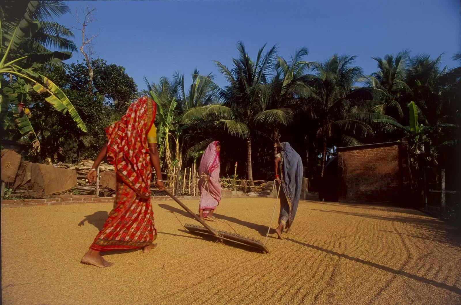 Puri_Rice_Puja_Orissa_India__©LizThompson_03.webp