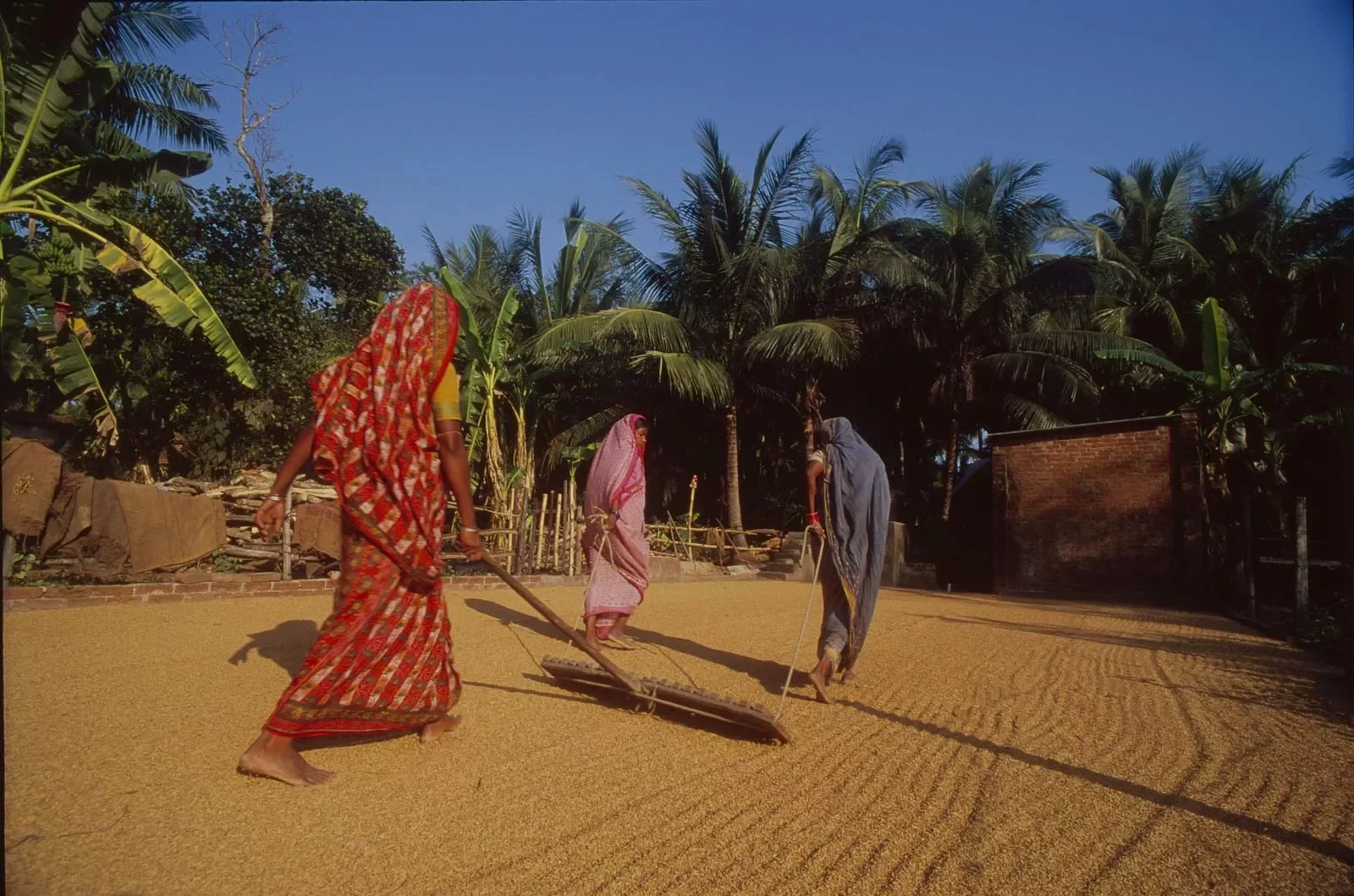 Puri_Rice_Puja_Orissa_India__©LizThompson_03-copy.webp